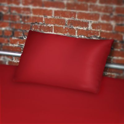 Sheets of San Francisco Waterproof Throw Or Pillow Case 